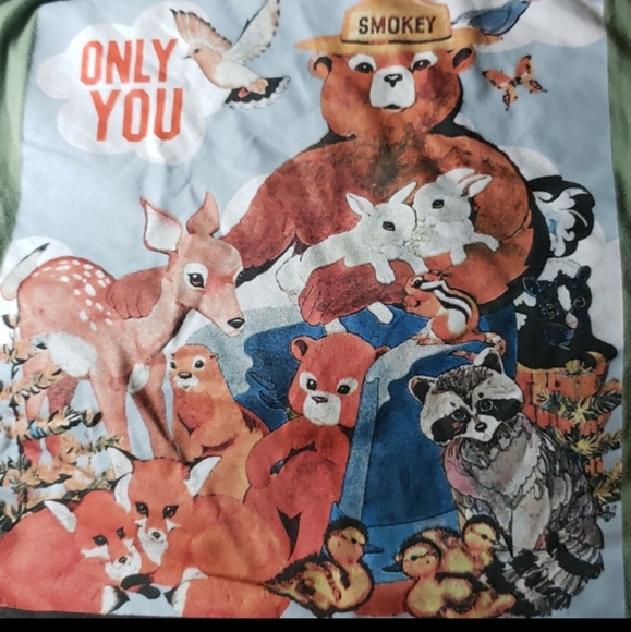 COPY - Smokey the Bear cropped tee t-shirt large graphic tee - Picture 3 of 3